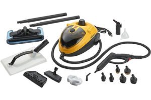 Wagner Spraytech 0282014 915e On-Demand Steam Cleaner