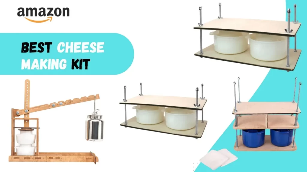 Best cheese making kit