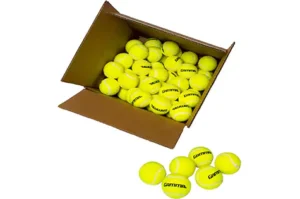 Gamma Pressureless Tennis Ball